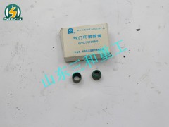61500040039,气门杆密封套,山东三和重工股份有限公司