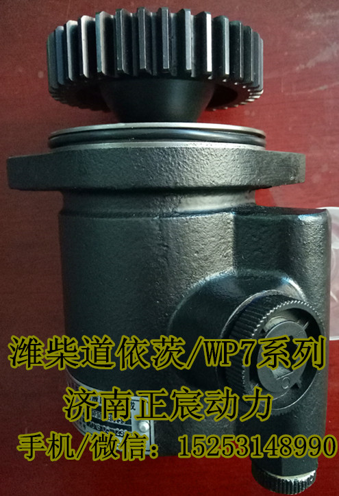 610800130014,潍柴WP7转向助力泵,济南正宸动力汽车零部件有限公司