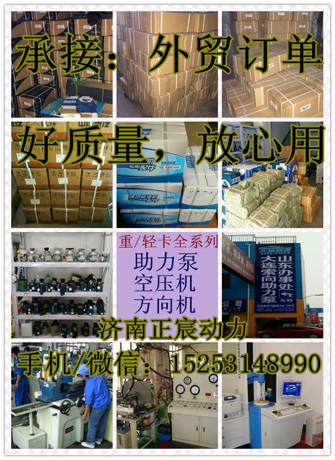 612630030087,转向助力泵/齿轮泵/巨力泵,济南正宸动力汽车零部件有限公司