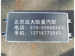 1B24981280061,冷凝器芯体,北京远大欧曼汽车配件有限公司