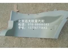 1B24984504036,脚踏板护罩,北京远大欧曼汽车配件有限公司