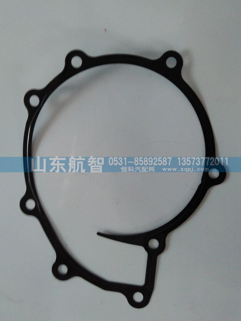080V06901-0196,水泵密封垫,山东航智商贸有限公司