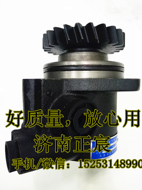 DZ9100130016,助力泵/叶片泵/齿轮泵,济南正宸动力汽车零部件有限公司