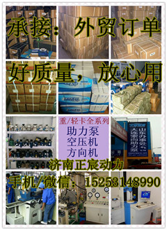 5253897,助力泵/叶片泵/齿轮泵,济南正宸动力汽车零部件有限公司