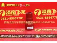 LG9704530068,中冷器进气波纹胶管,济南飞龙汽车零部件有限公司