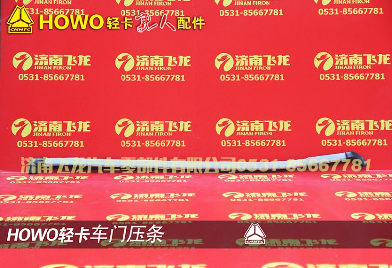 ,车门压条,济南飞龙汽车零部件有限公司