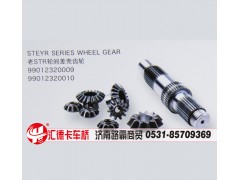 99012320009,99012320010,老STR轮间差速器壳齿轮,济南汇德卡汽车零部件有限公司