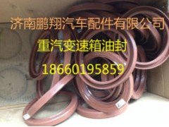 豪沃T7H驾驶室配件(4),豪沃T7H驾驶室配件(4),济南鹏翔汽车配件有限公司