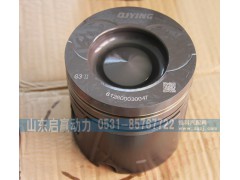 612600030047,活塞,山东省启赢动力汽车零部件