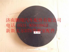 WG1684110734,重汽新斯太尔标志安装板,济南鹏翔汽车配件有限公司