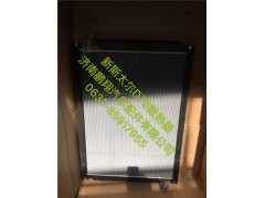 752W06100-0007,新斯太尔D7B水箱,济南鹏翔汽车配件有限公司