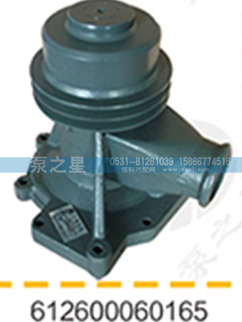 612600060165,水泵总成,山东泵之星动力有限公司