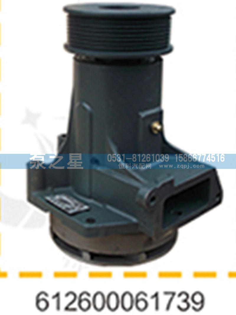 612600061739,水泵总成,山东泵之星动力有限公司