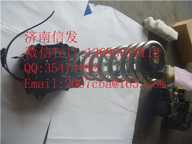 WG1034130181 尿素泵總成 電加熱/WG1034130181  尿素泵總成 電加熱  重汽豪沃國五