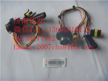 尿素泵泵体内线束  WG1034121181+007/尿素泵泵体内线束 配1181  WG1034121181+007  重汽豪沃国四