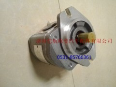 D52-000-10+A,转向泵,济南恺航欧曼汽车配件有限公司