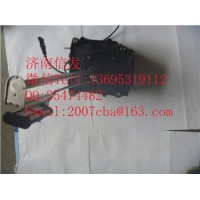 WG1034131181 尿素泵总成 不加热