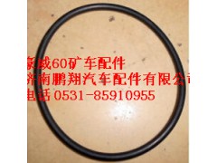 重汽豪威60矿大江迈克桥O形圈,重汽豪威60矿大江迈克桥,济南鹏翔汽车配件有限公司