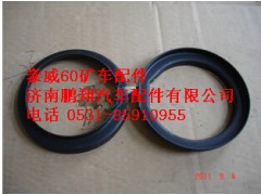 TZ56077000078,重汽豪威60矿大江桥挡尘罩,济南鹏翔汽车配件有限公司