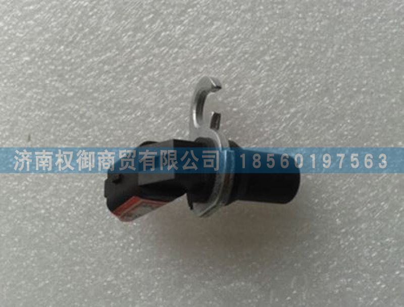 WG12381100图1