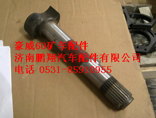 TZ56077000171,重汽豪威60矿,济南鹏翔汽车配件有限公司