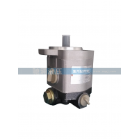 潍柴道依茨系列齿轮泵