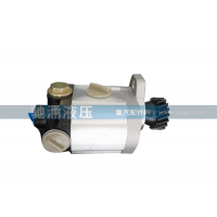 中联重科50吨吊车齿轮泵