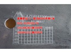 AZ1651230048,前轮前挡泥板左,济南隆旭汽车配件有限公司