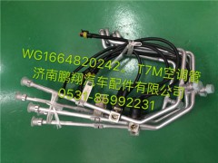 WG1664820242,豪沃T7,济南鹏翔汽车配件有限公司