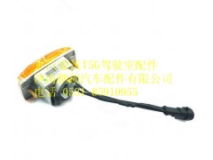 WG9925720013,重汽豪沃T5G侧转向灯(右),济南鹏翔汽车配件有限公司