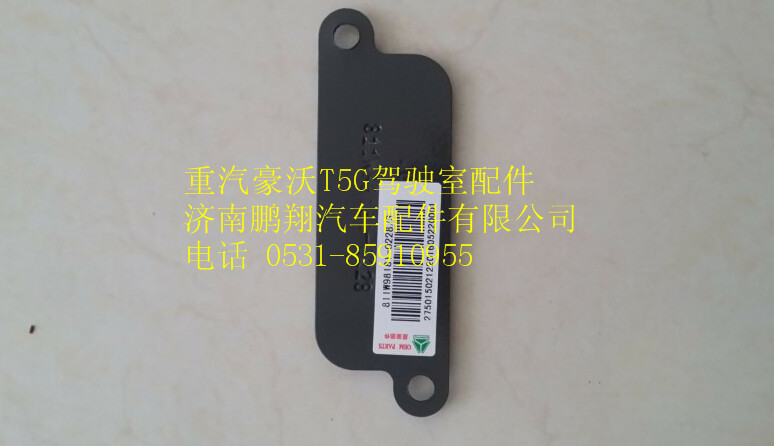 811W98181-0228  3,重汽豪沃T5G驾驶室板子,济南鹏翔汽车配件有限公司