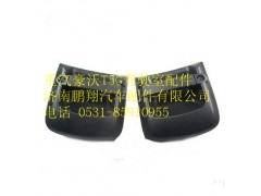 810W62641-6079,重汽豪沃T5G左车门把手,济南鹏翔汽车配件有限公司