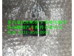 LG9704580110,重汽豪沃HOWO轻卡配件危急报警开关,济南鹏翔汽车配件有限公司