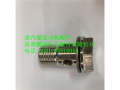 200V98150-0175,中国重汽MC11发动机空心螺栓,济南鹏翔汽车配件有限公司