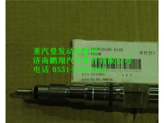 200V10100-6126,中国重汽MC11发动机喷油器总成,济南鹏翔汽车配件有限公司