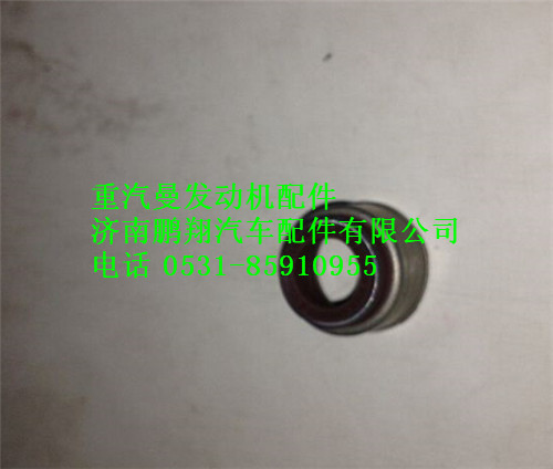 202V04902-0035,重汽曼MC11排气门杆油封,济南鹏翔汽车配件有限公司