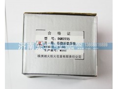 DQR2235,火炬燃气点火线圈,济南宏珈汽车零部件有限公司