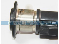 WG1034121002,尿素喷射器,济南宏珈汽车零部件有限公司