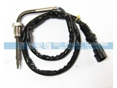 612640130648,原厂SCR排气温度传感器,济南宏珈汽车零部件有限公司