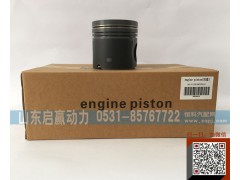 612600030010,活塞,山东省启赢动力汽车零部件