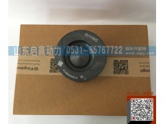 612600030010,活塞,山东省启赢动力汽车零部件