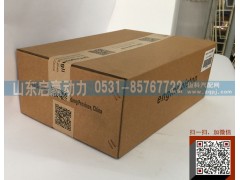 612600030010,活塞,山东省启赢动力汽车零部件