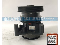 612600060389,水泵,山东省启赢动力汽车零部件