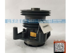 61560060050,水泵,山东省启赢动力汽车零部件
