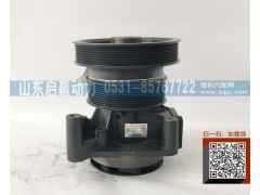 612600061359,水泵,山东省启赢动力汽车零部件
