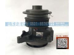 612600061498,水泵,山东省启赢动力汽车零部件