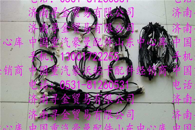 豪沃輕卡門(mén)控線束/