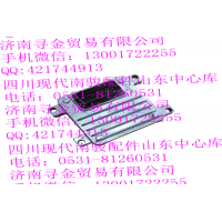 豪沃輕卡電噴ECU總成 瑞逸469國五專用
