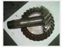 81351996520,盆角齿,济南汇德卡汽车零部件有限公司 81351996520,盆角齿,济南汇德卡汽车零部件有限公司