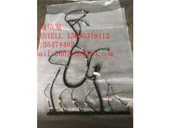 612640080051发动机线束图1
